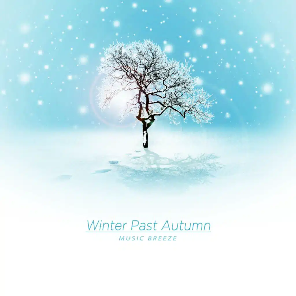 artist-header-image