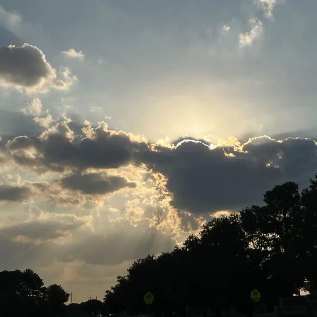 header-image