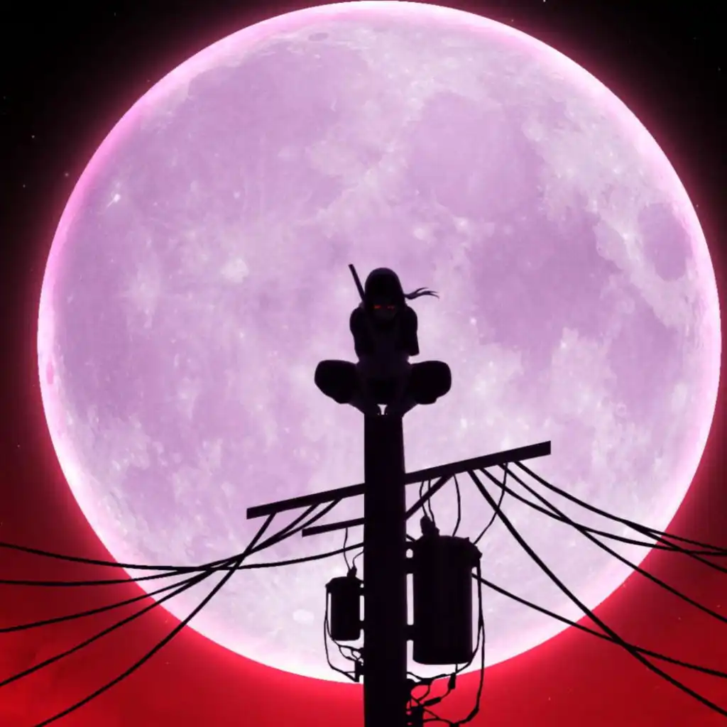 header-image