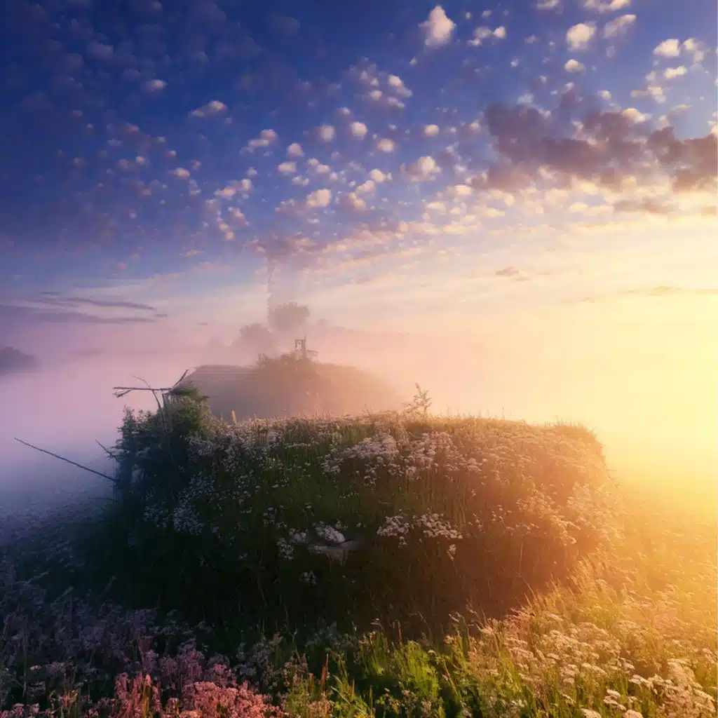 artist-header-image