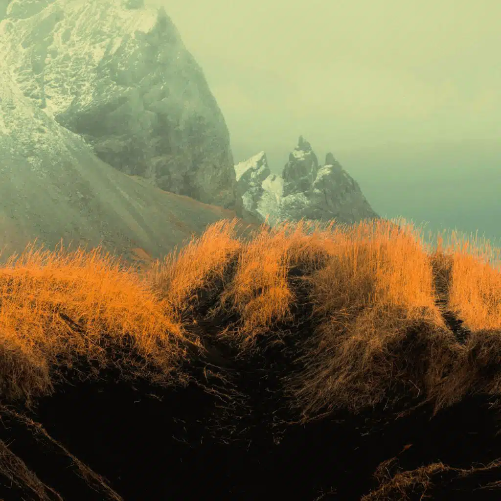 artist-header-image