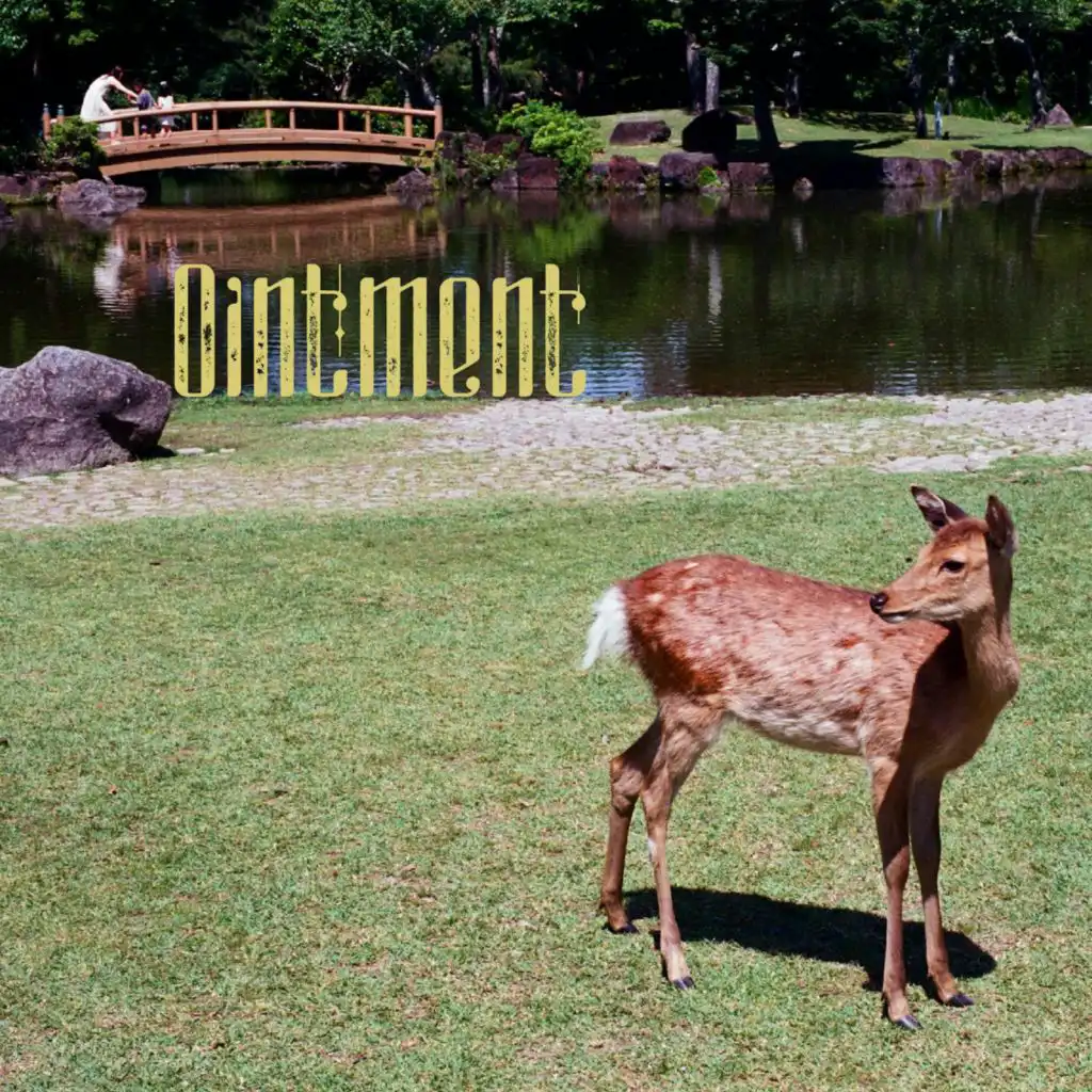artist-header-image