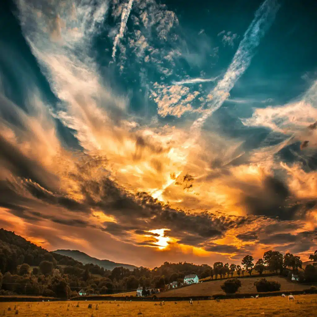 header-image