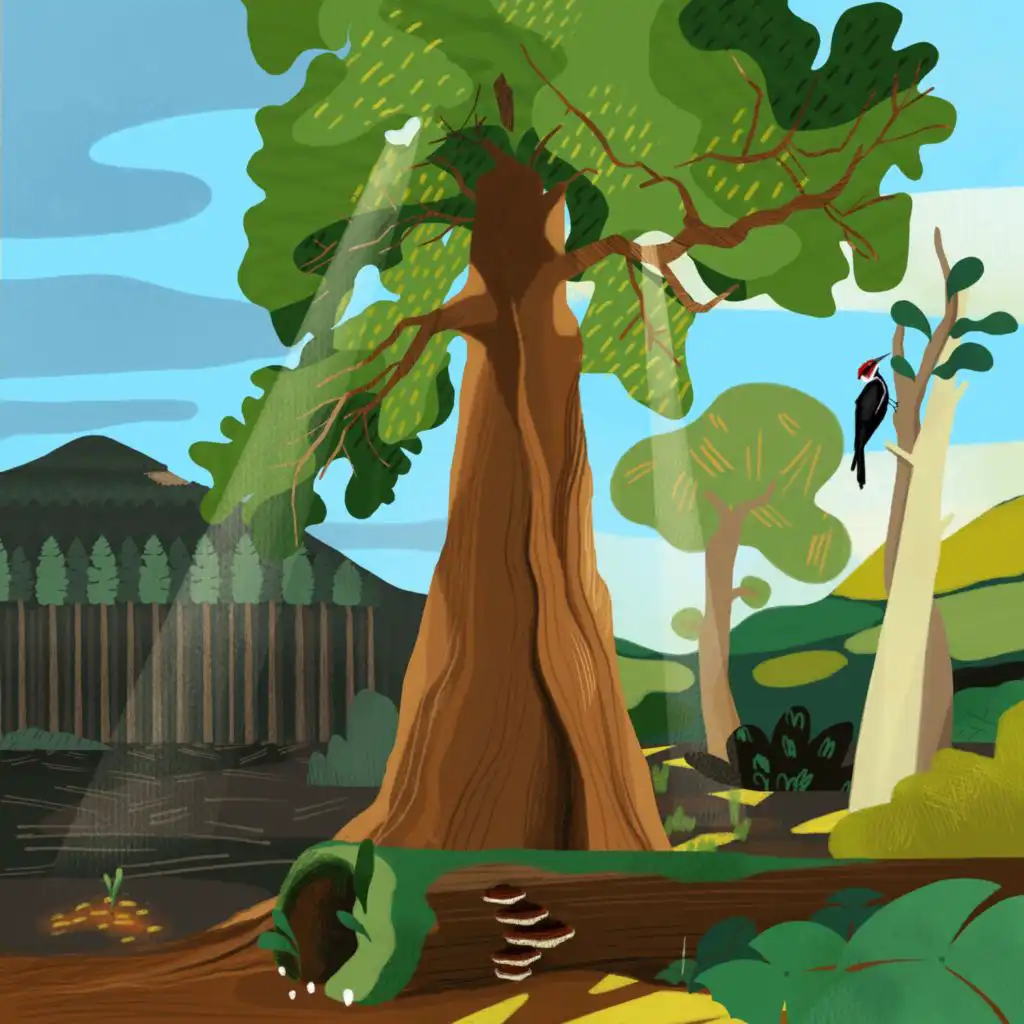 episode-header-image