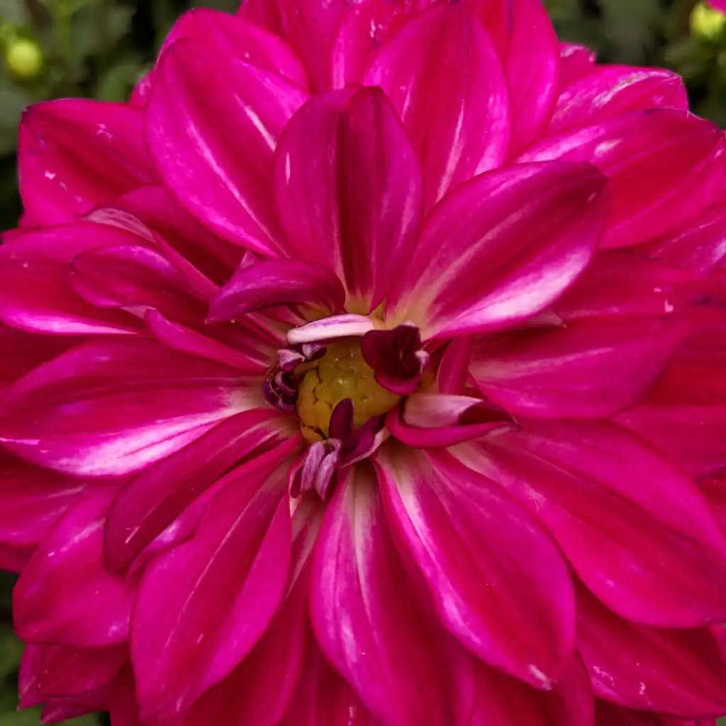 artist-header-image