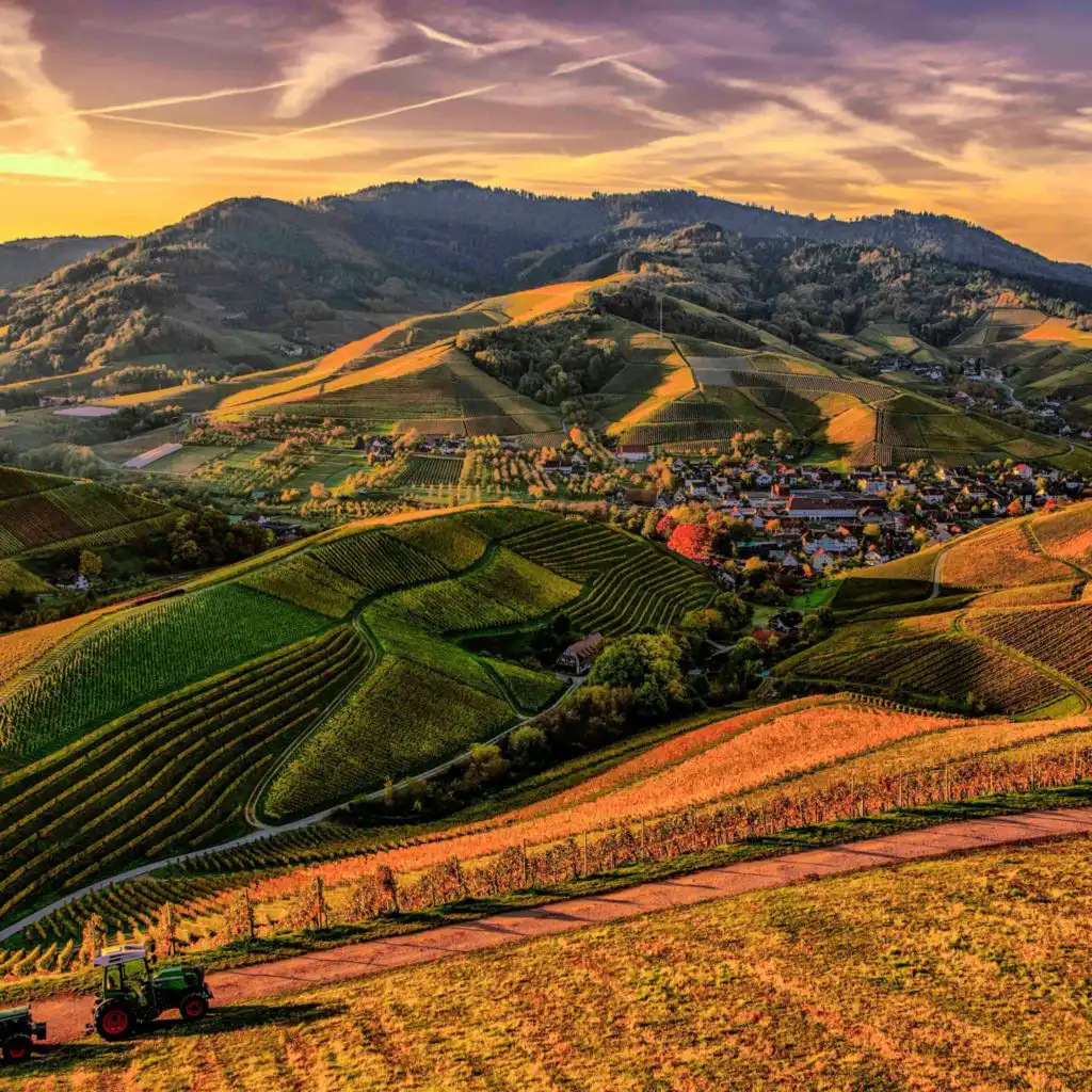 header-image