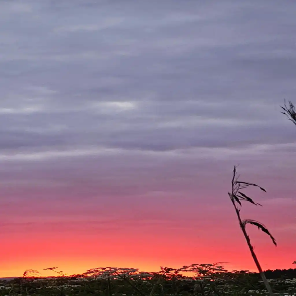 header-image