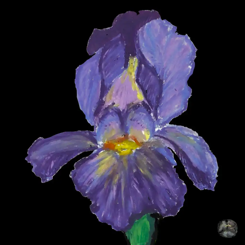 artist-header-image
