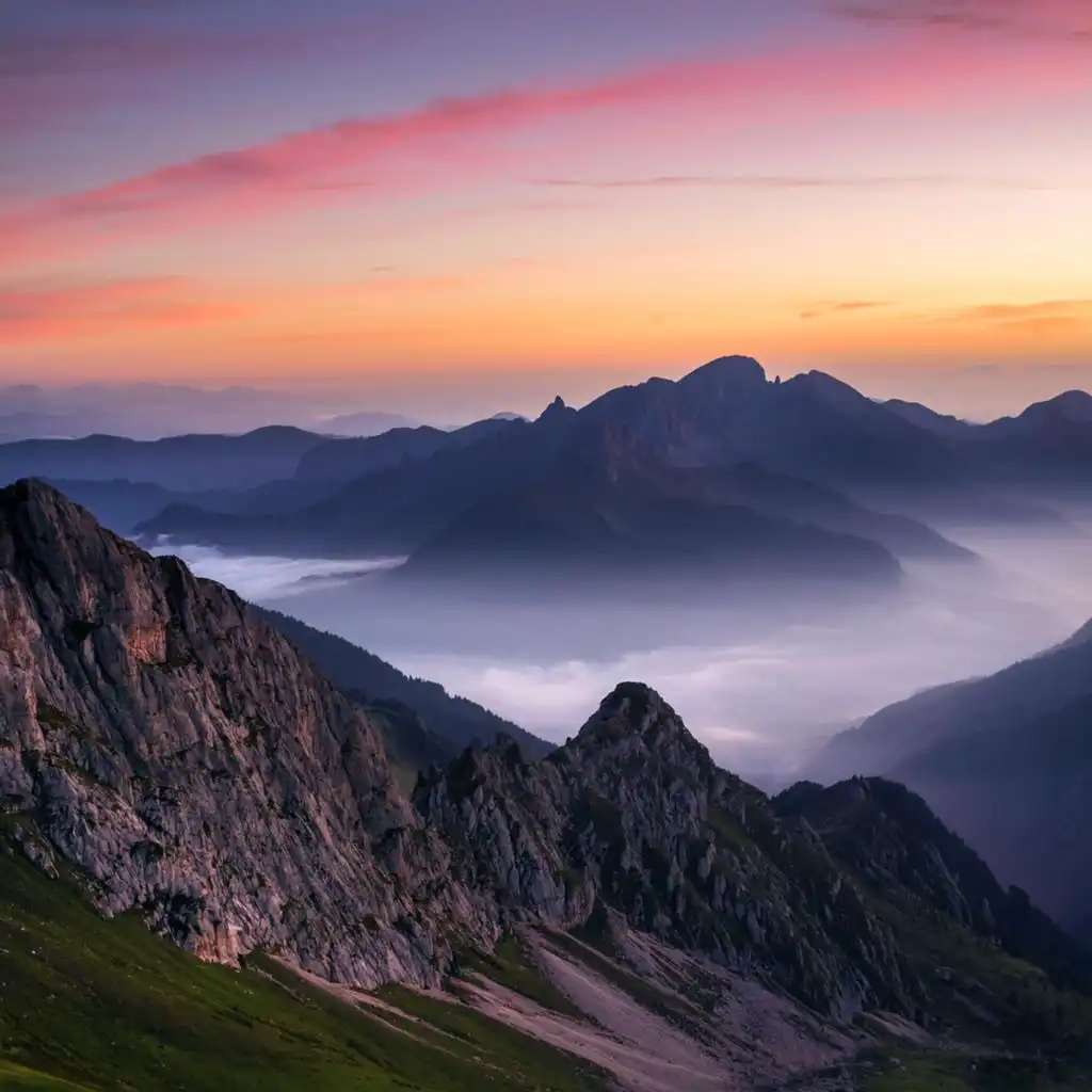 header-image