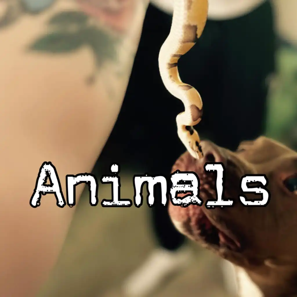 header-image