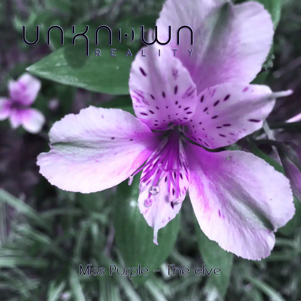 header-image