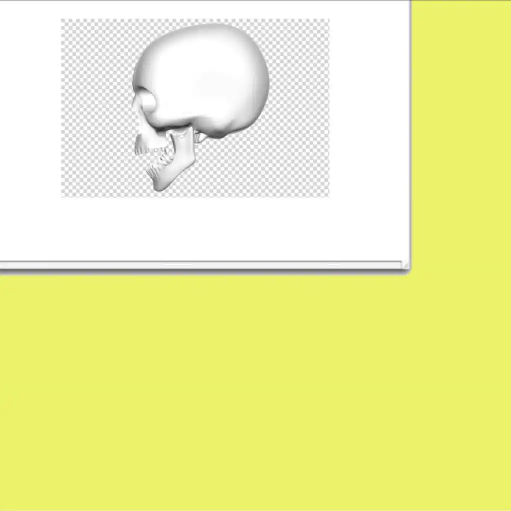 header-image
