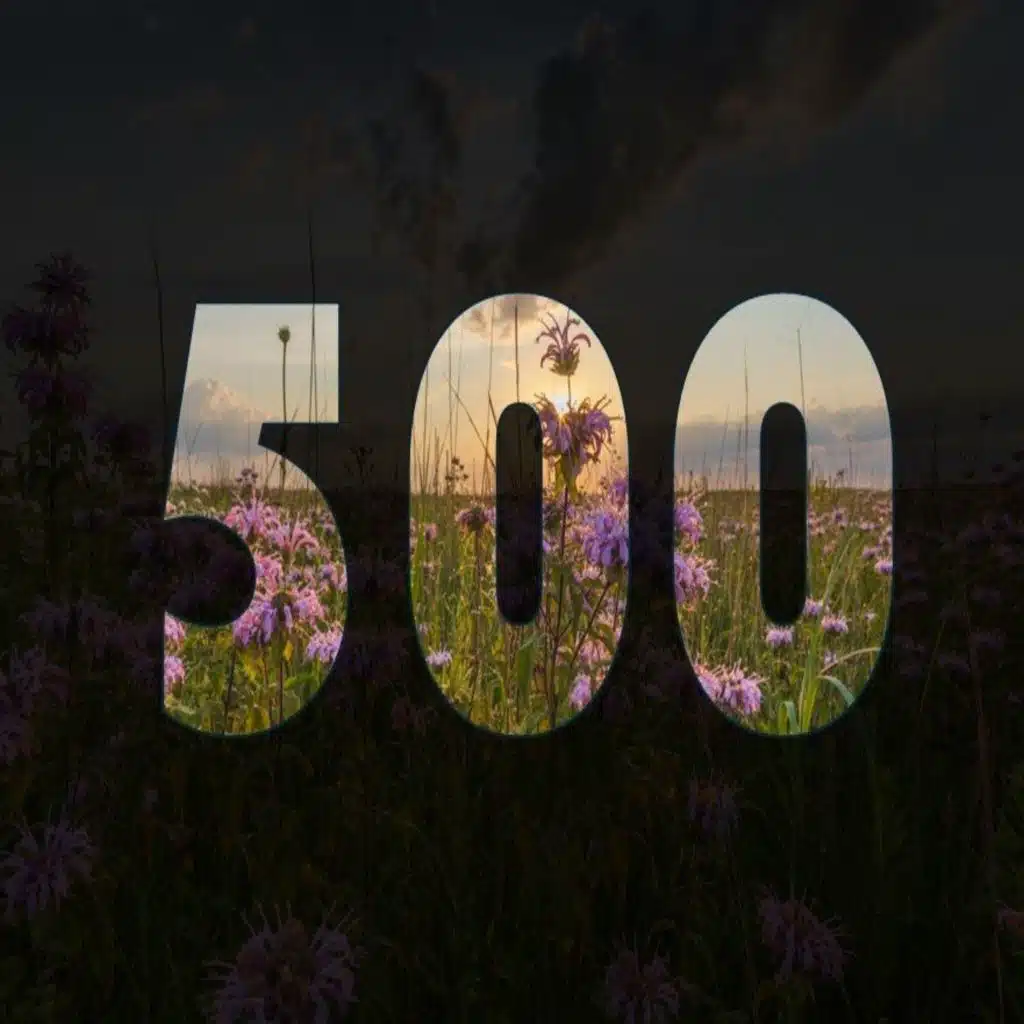 episode-header-image