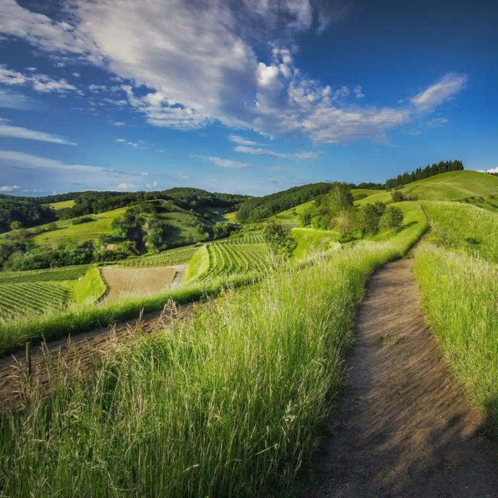 header-image