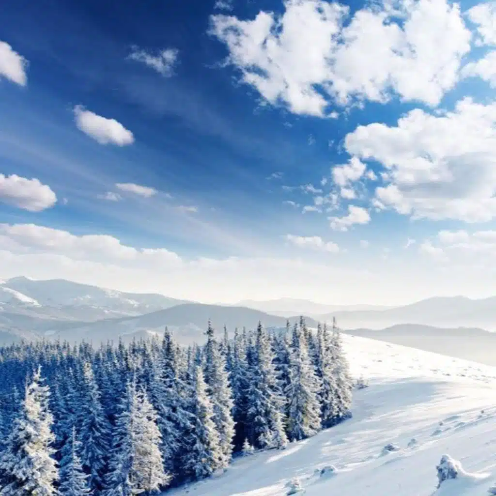 header-image