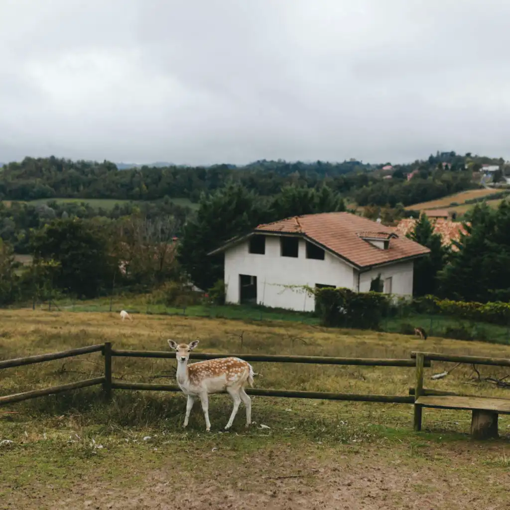 header-image