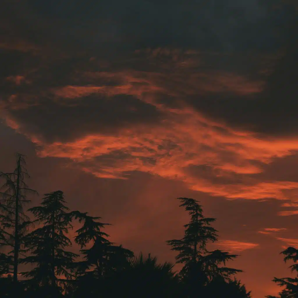 header-image