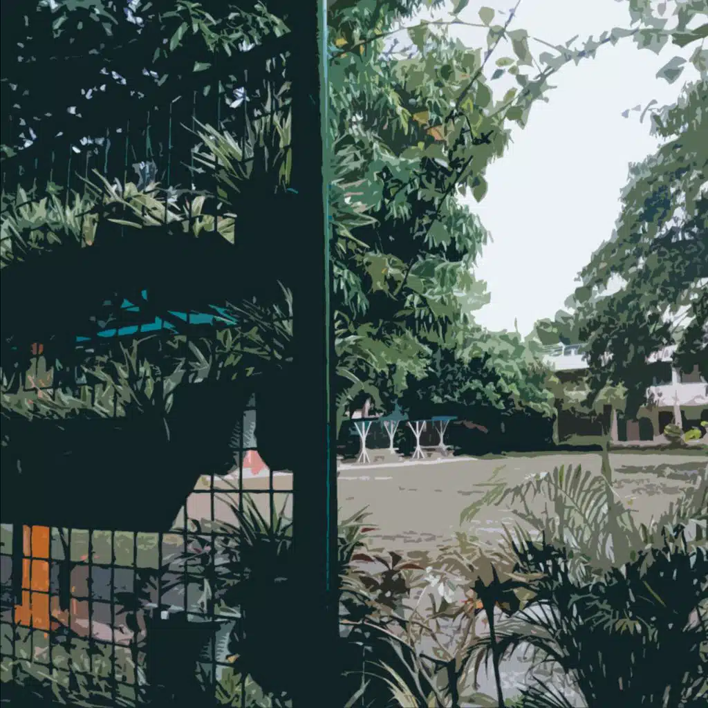 artist-header-image