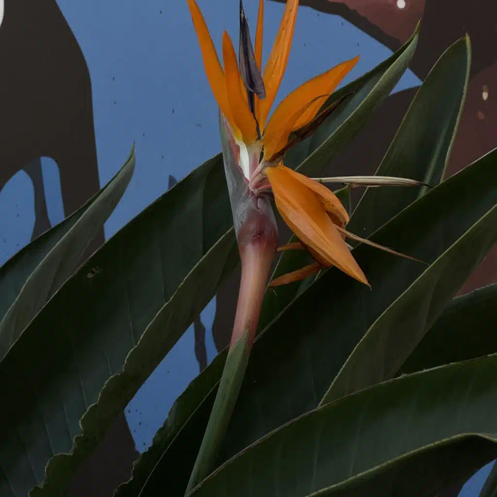 artist-header-image