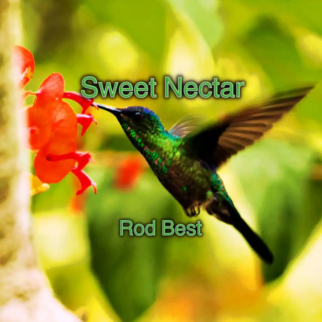 header-image