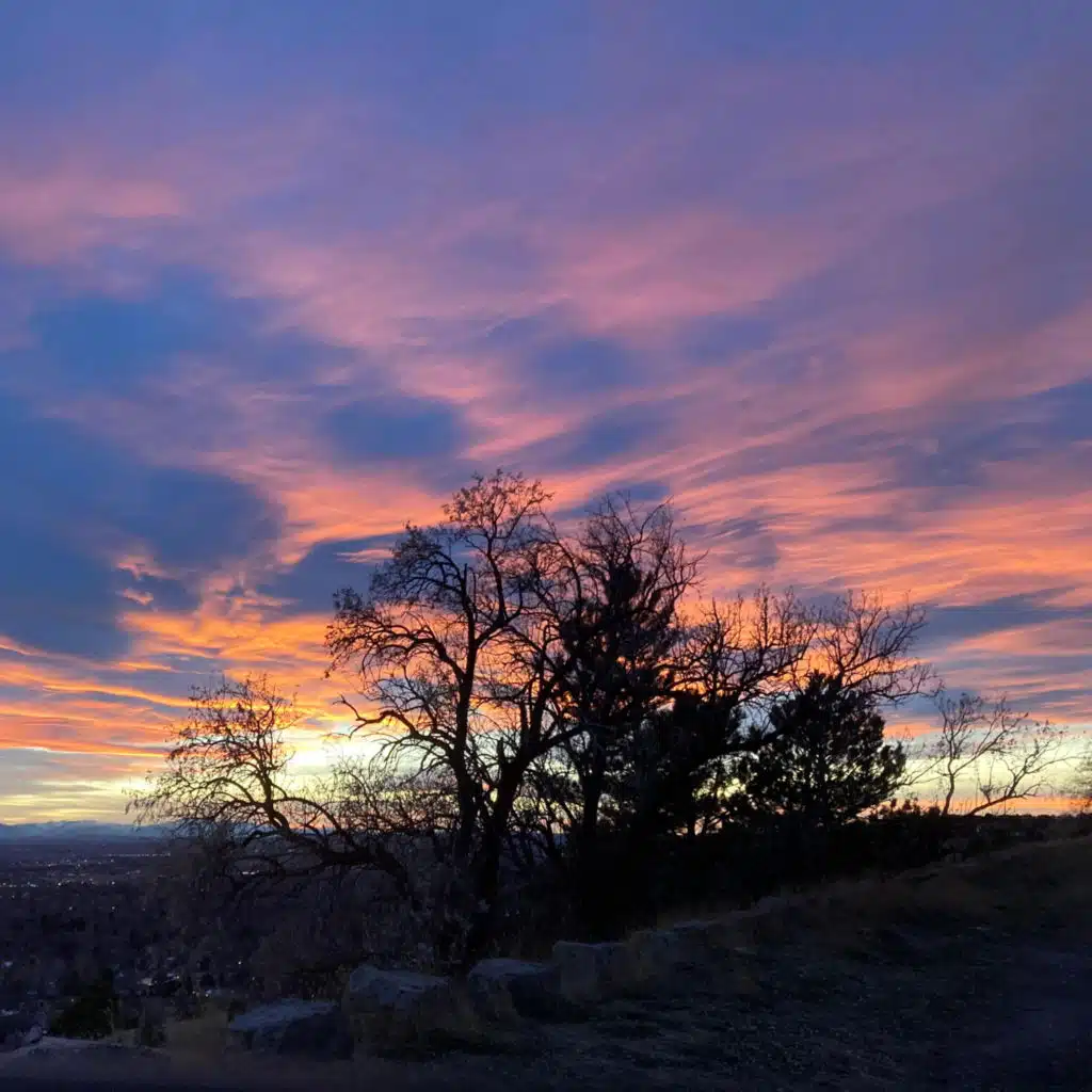 header-image