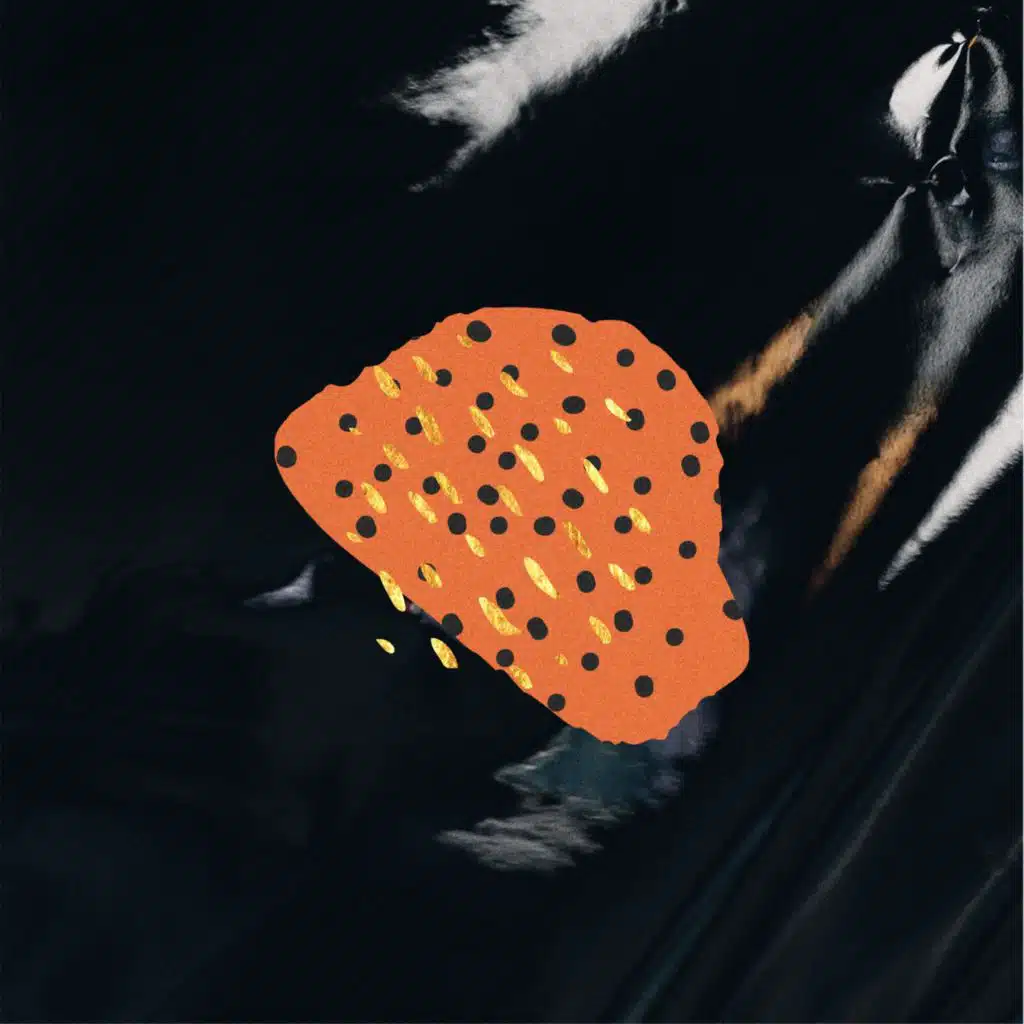 artist-header-image