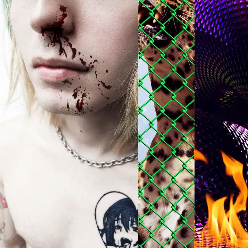 header-image