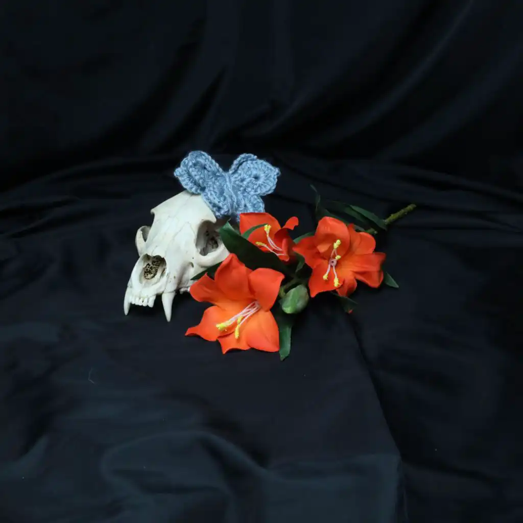 artist-header-image