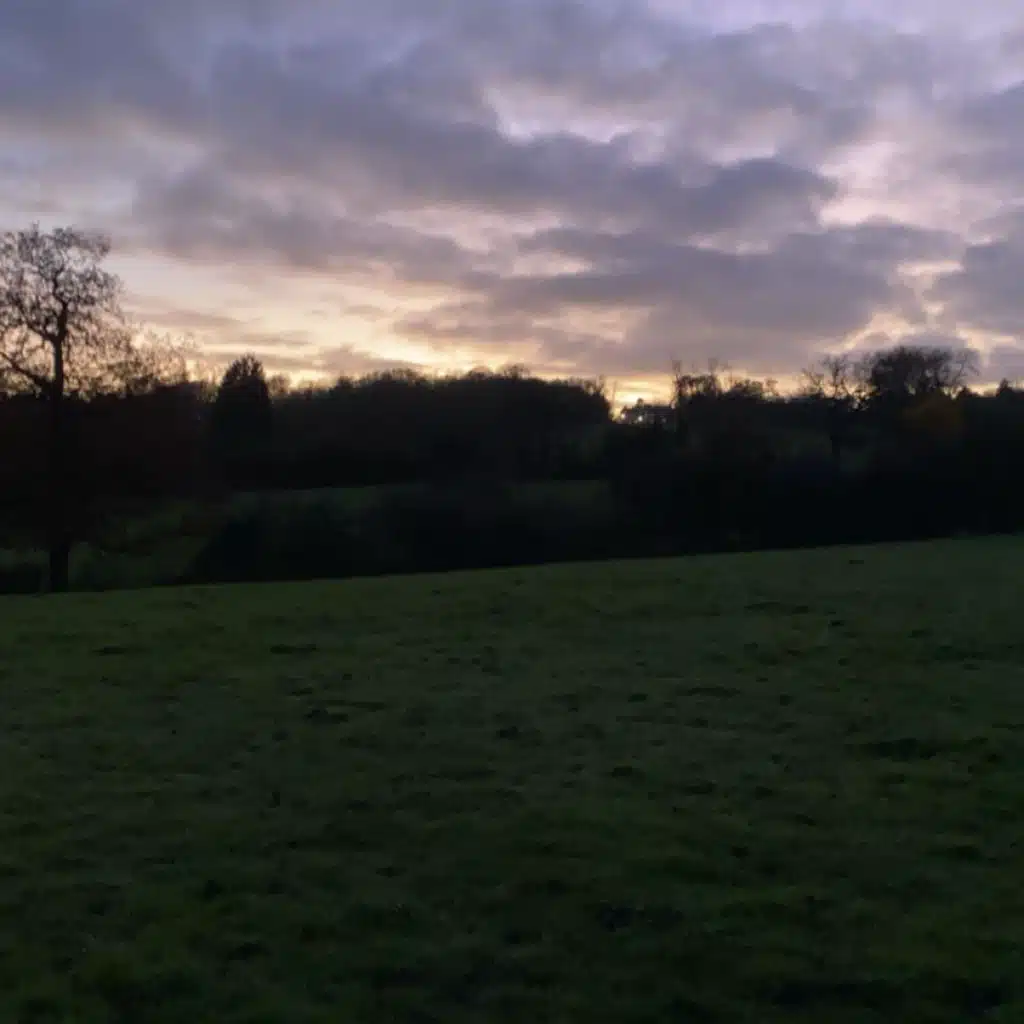 header-image