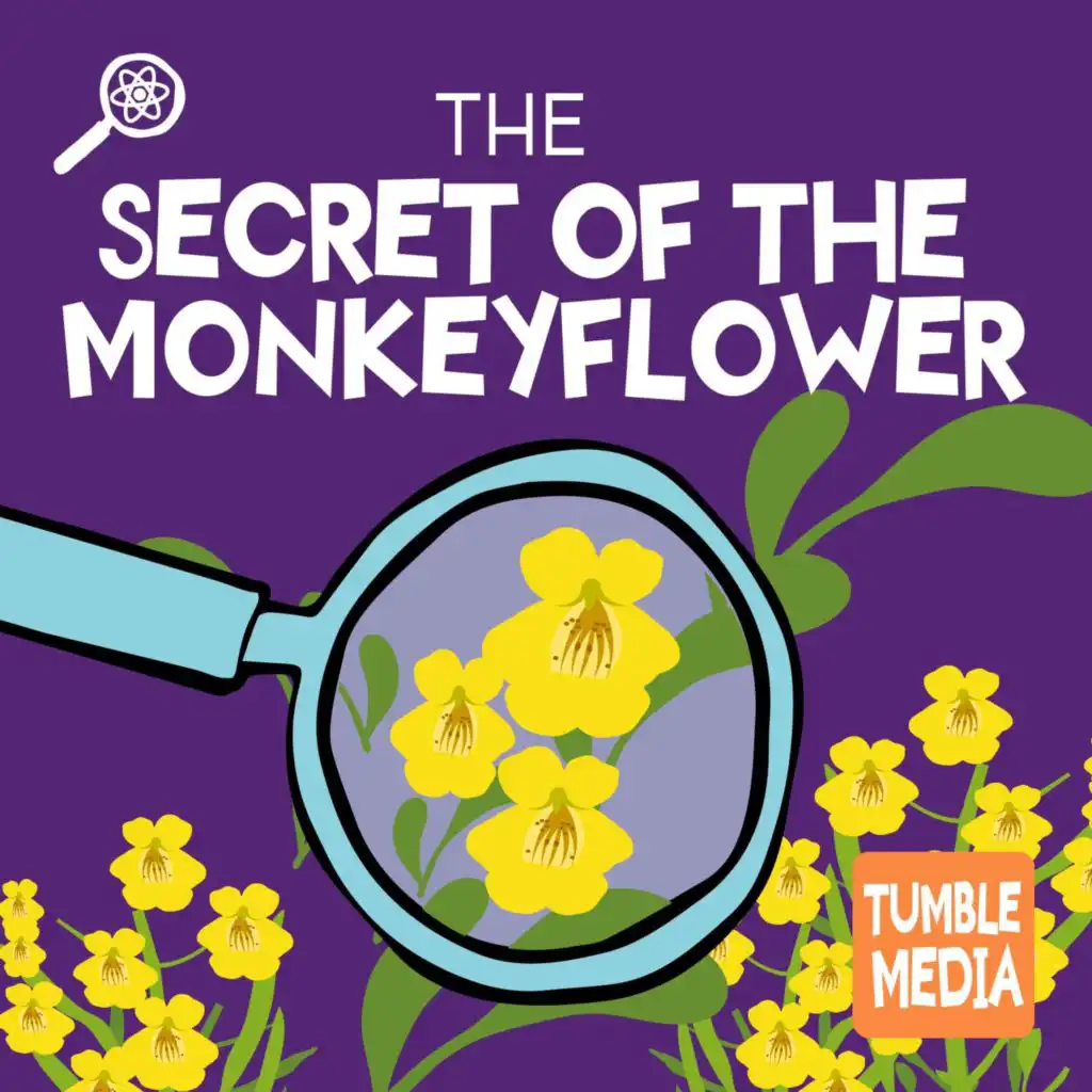 episode-header-image