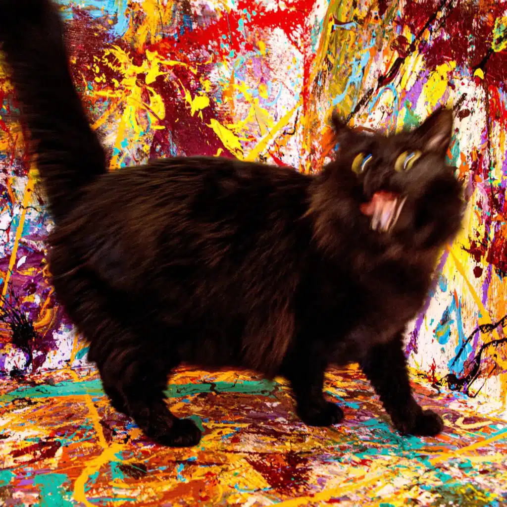 artist-header-image