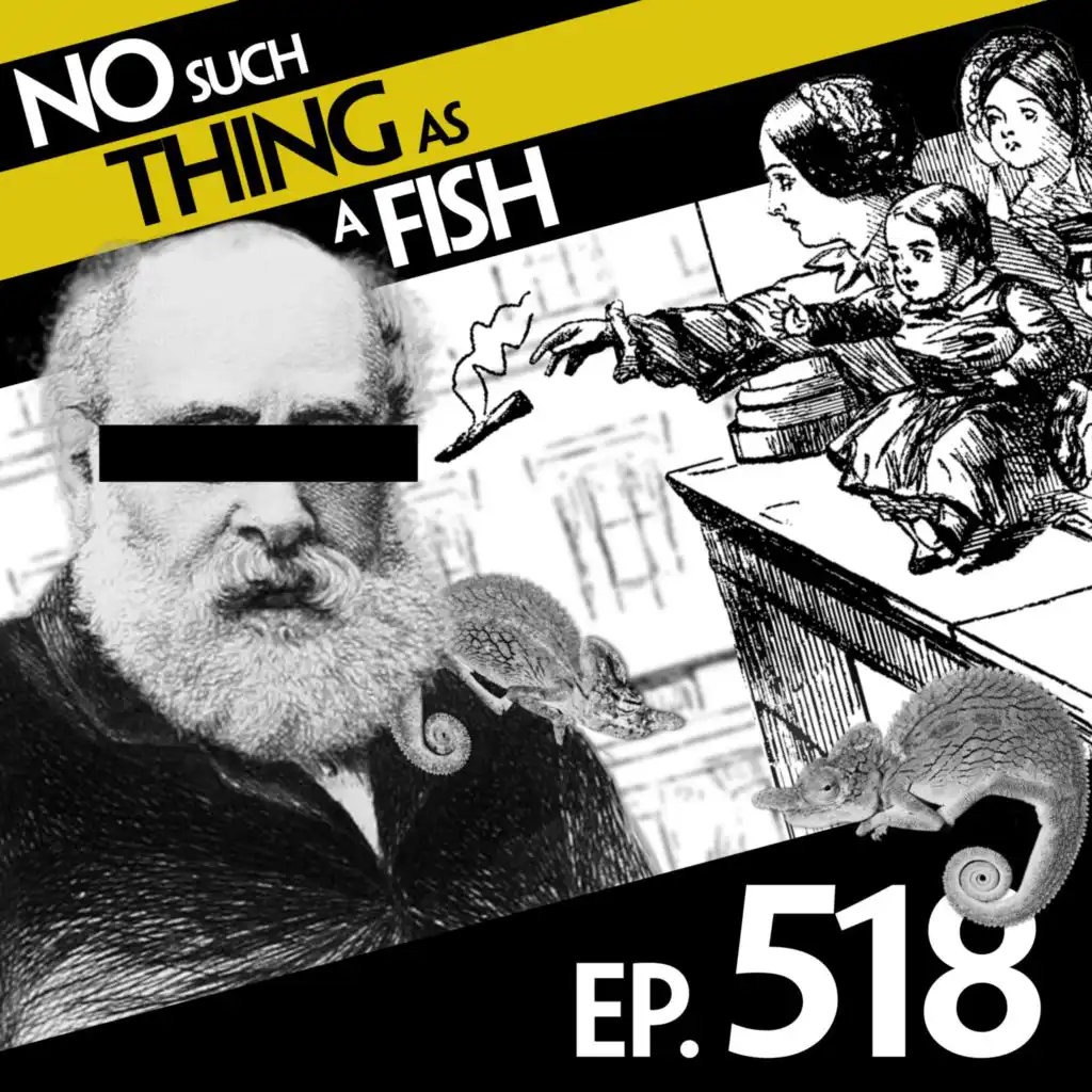 episode-header-image