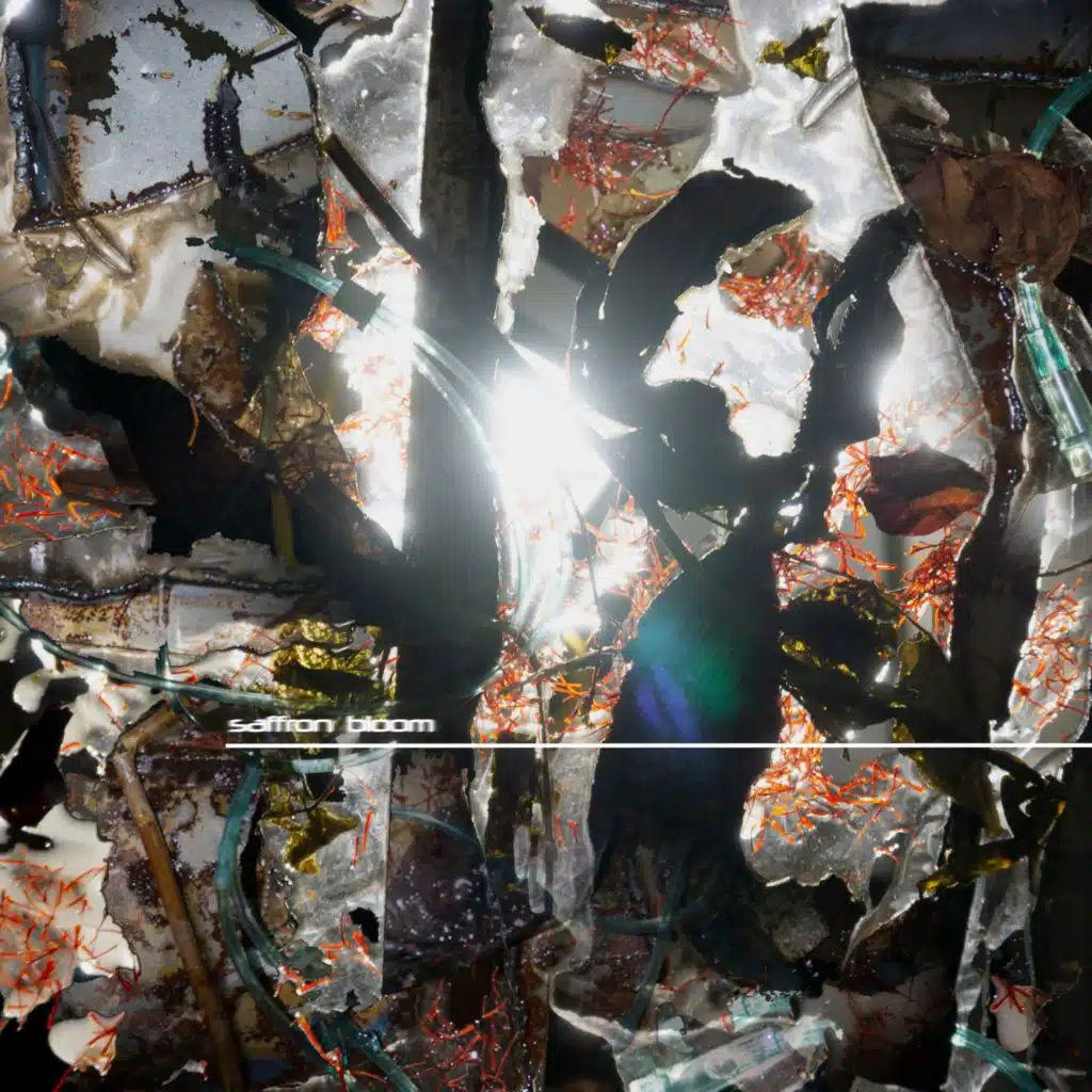 artist-header-image