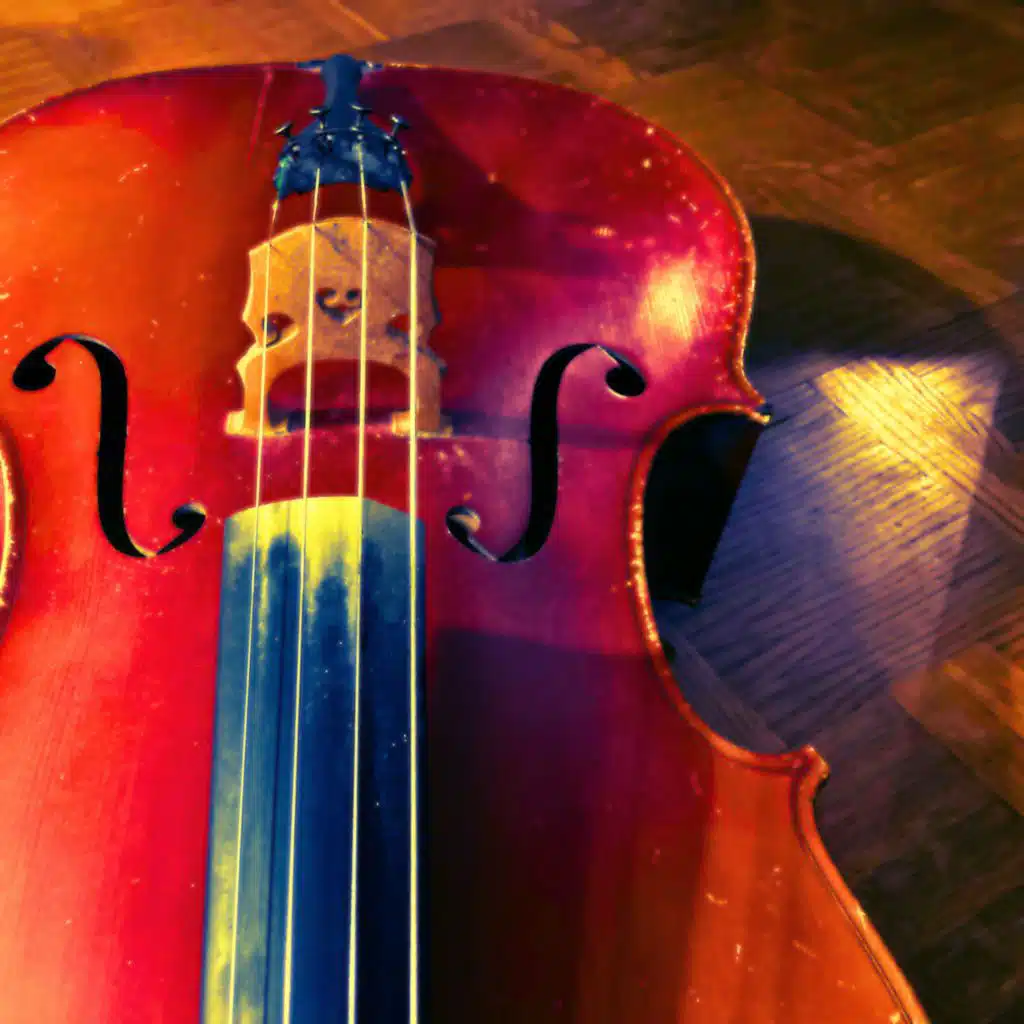 header-image