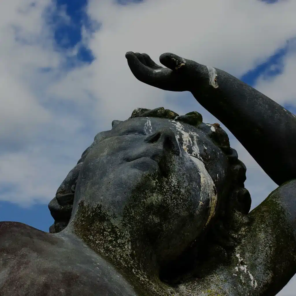 header-image
