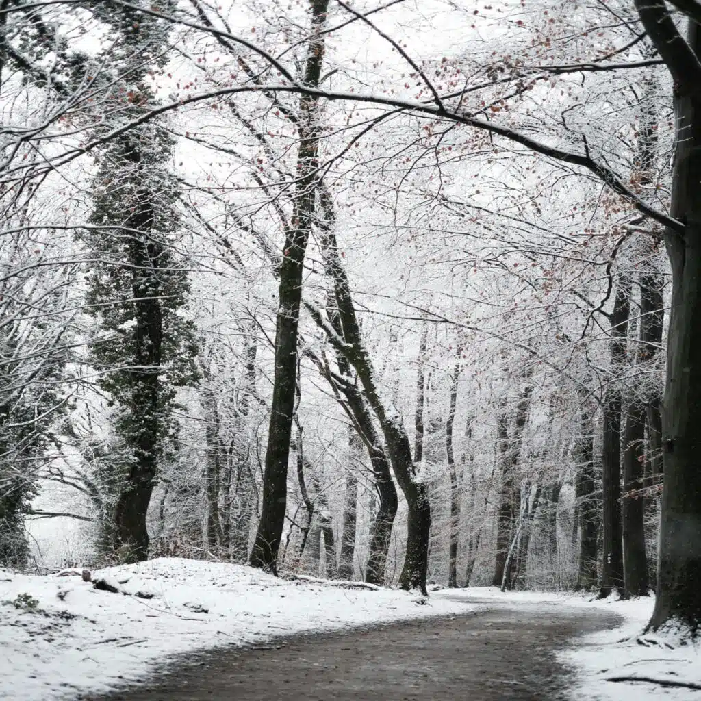 header-image