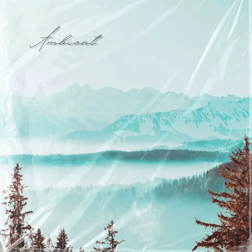 artist-header-image