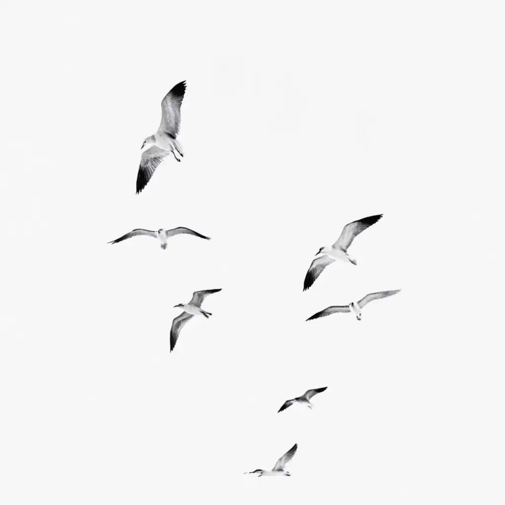 header-image