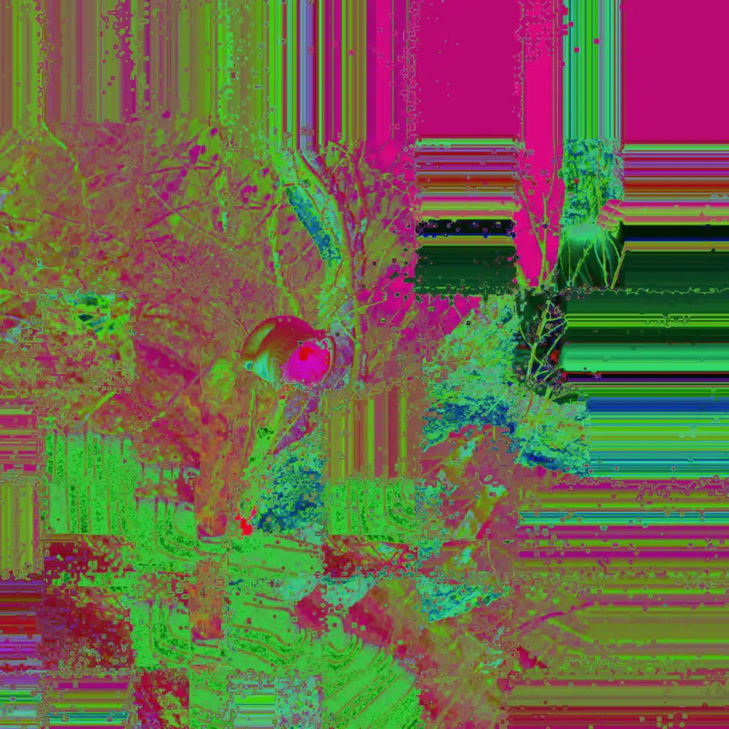 artist-header-image