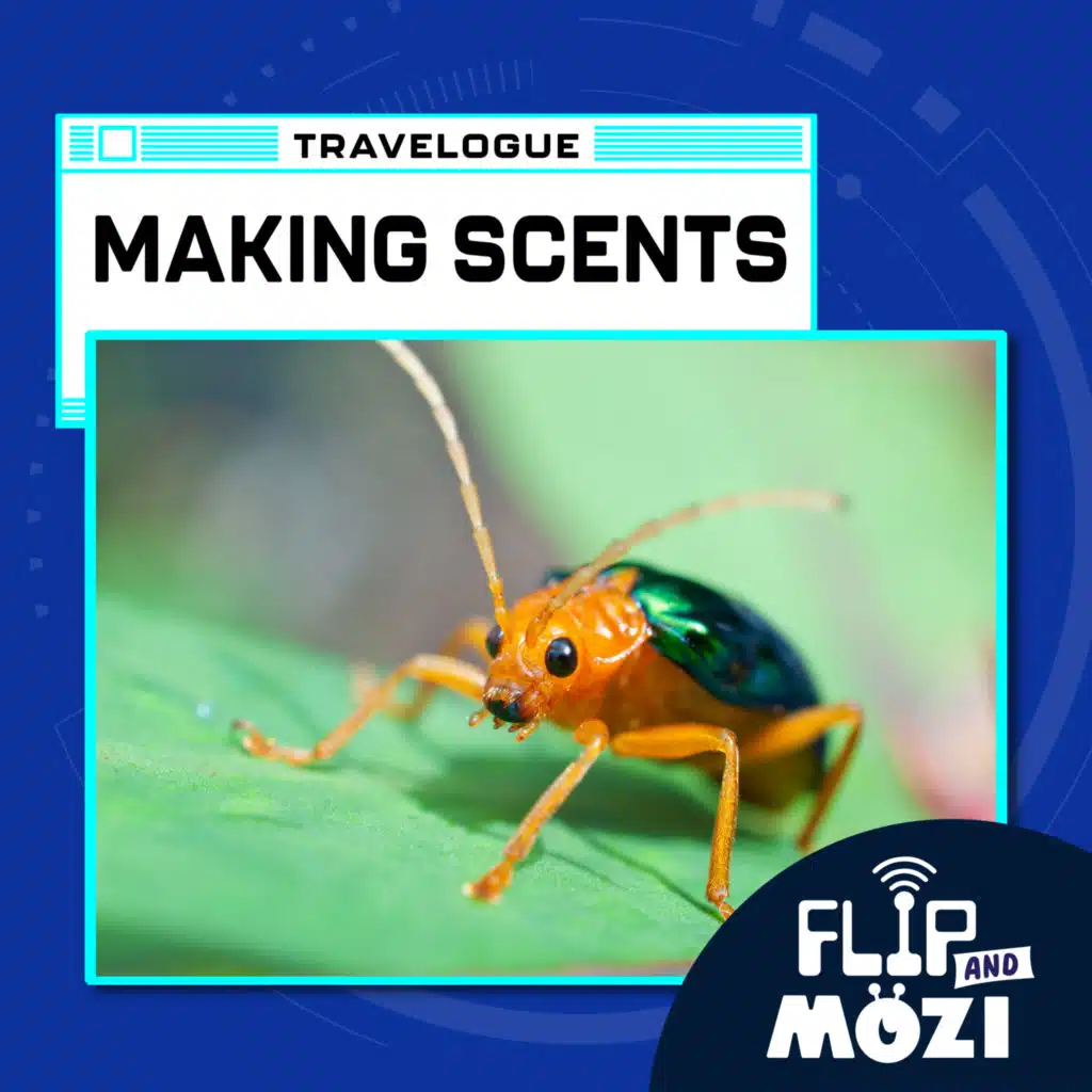 episode-header-image