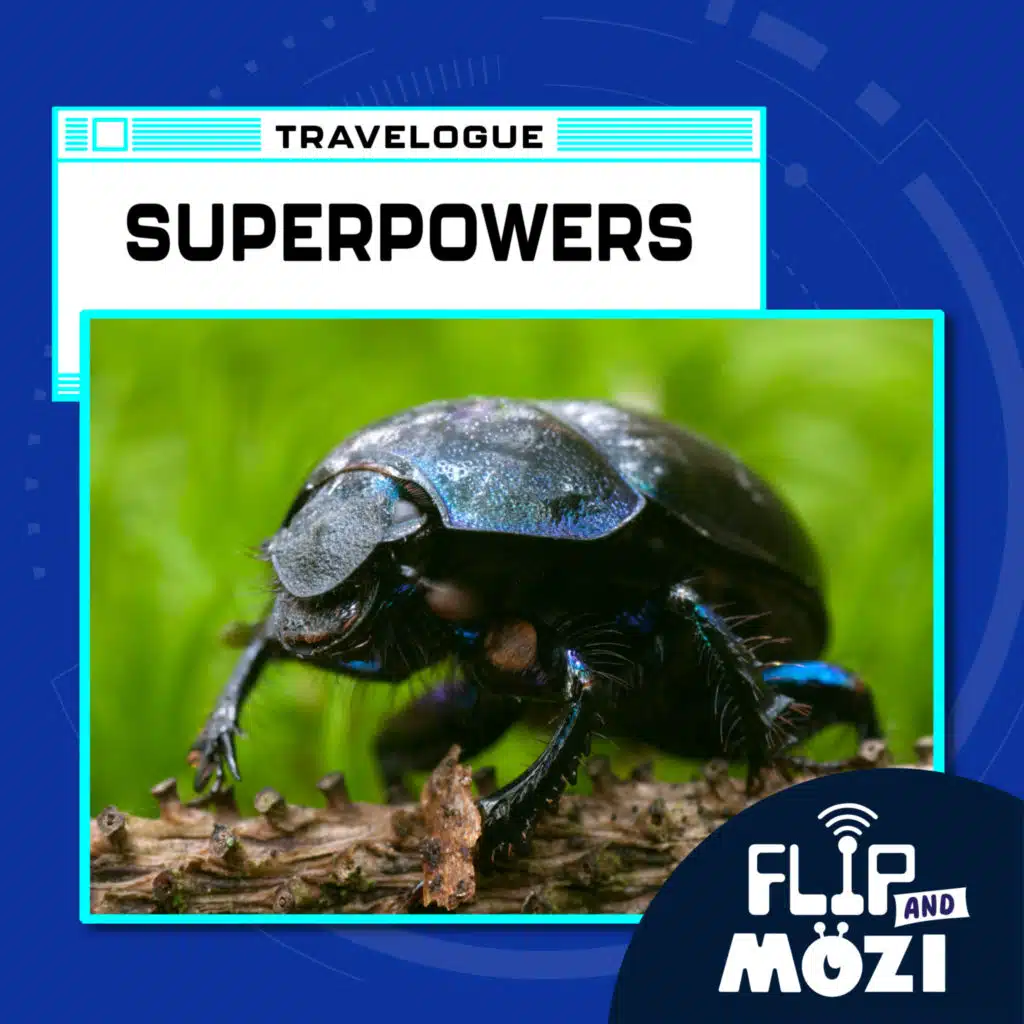 episode-header-image