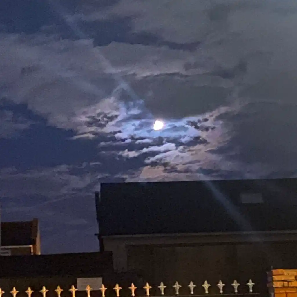 header-image