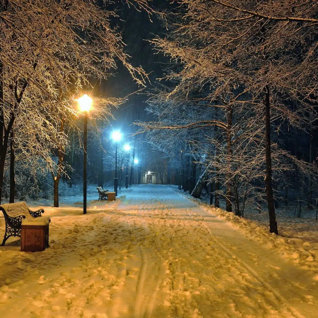 header-image