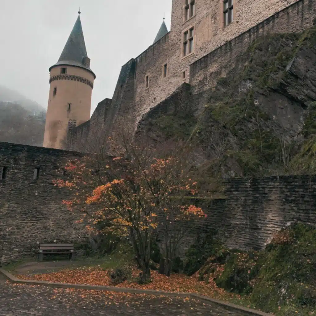 header-image