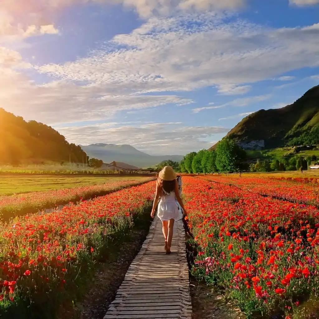 header-image