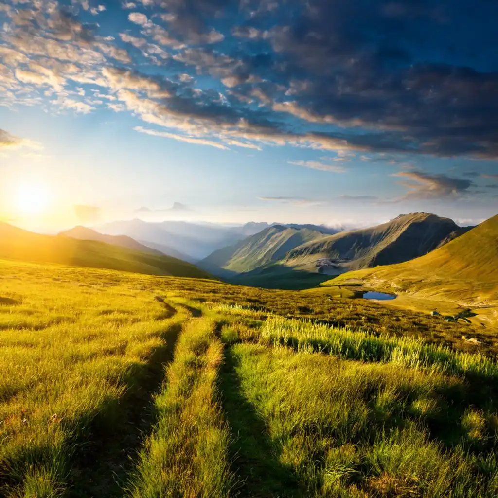 header-image