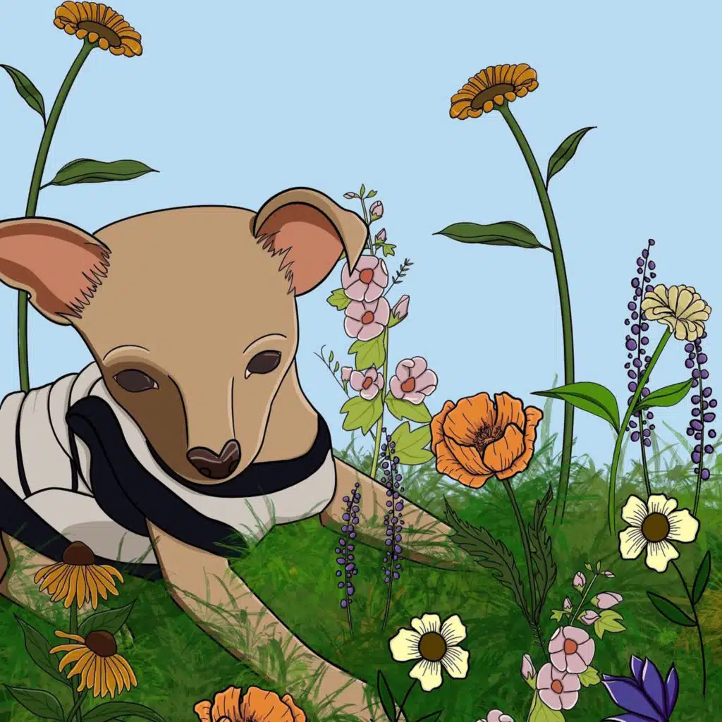 header-image