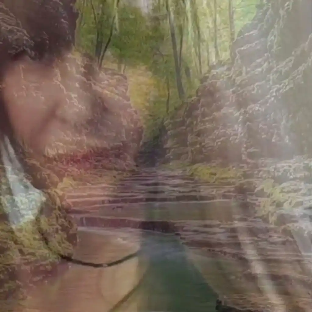 artist-header-image