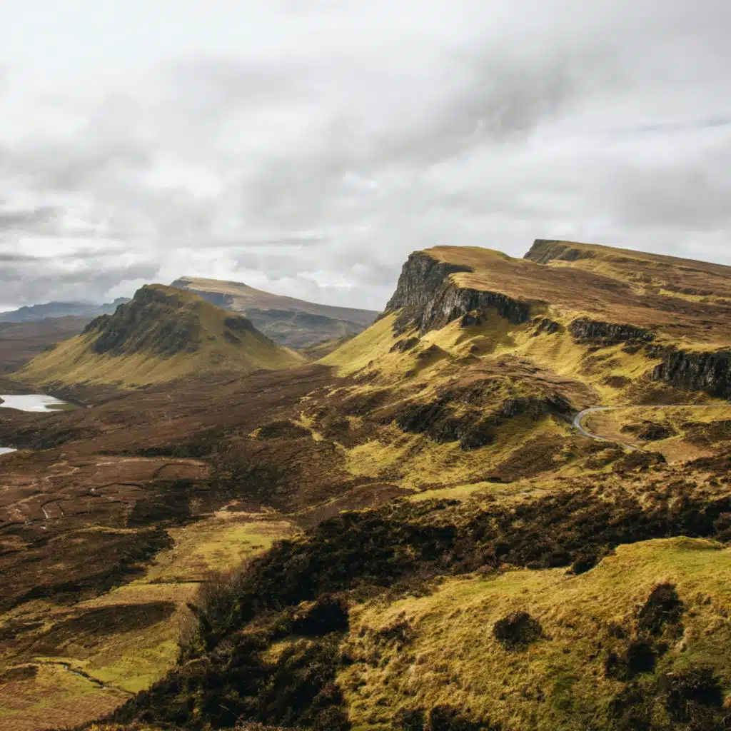 header-image