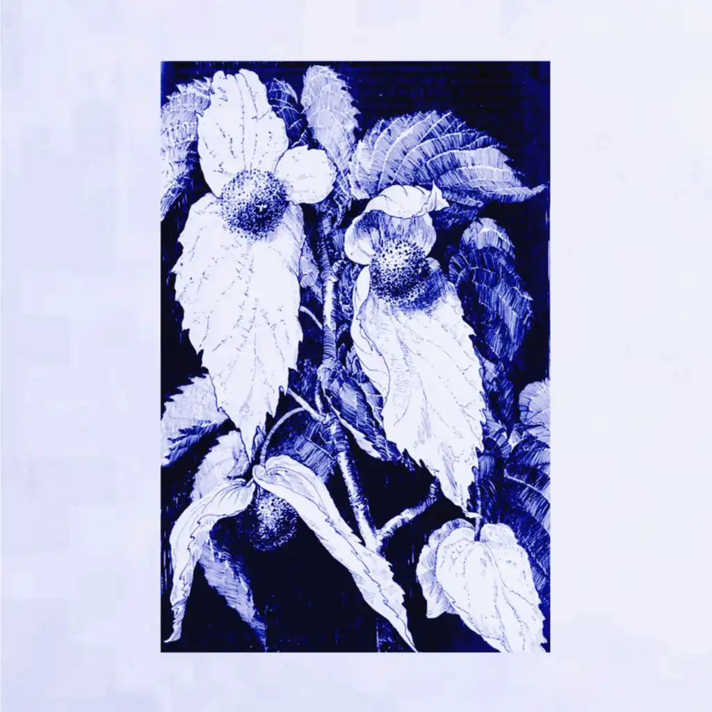 artist-header-image